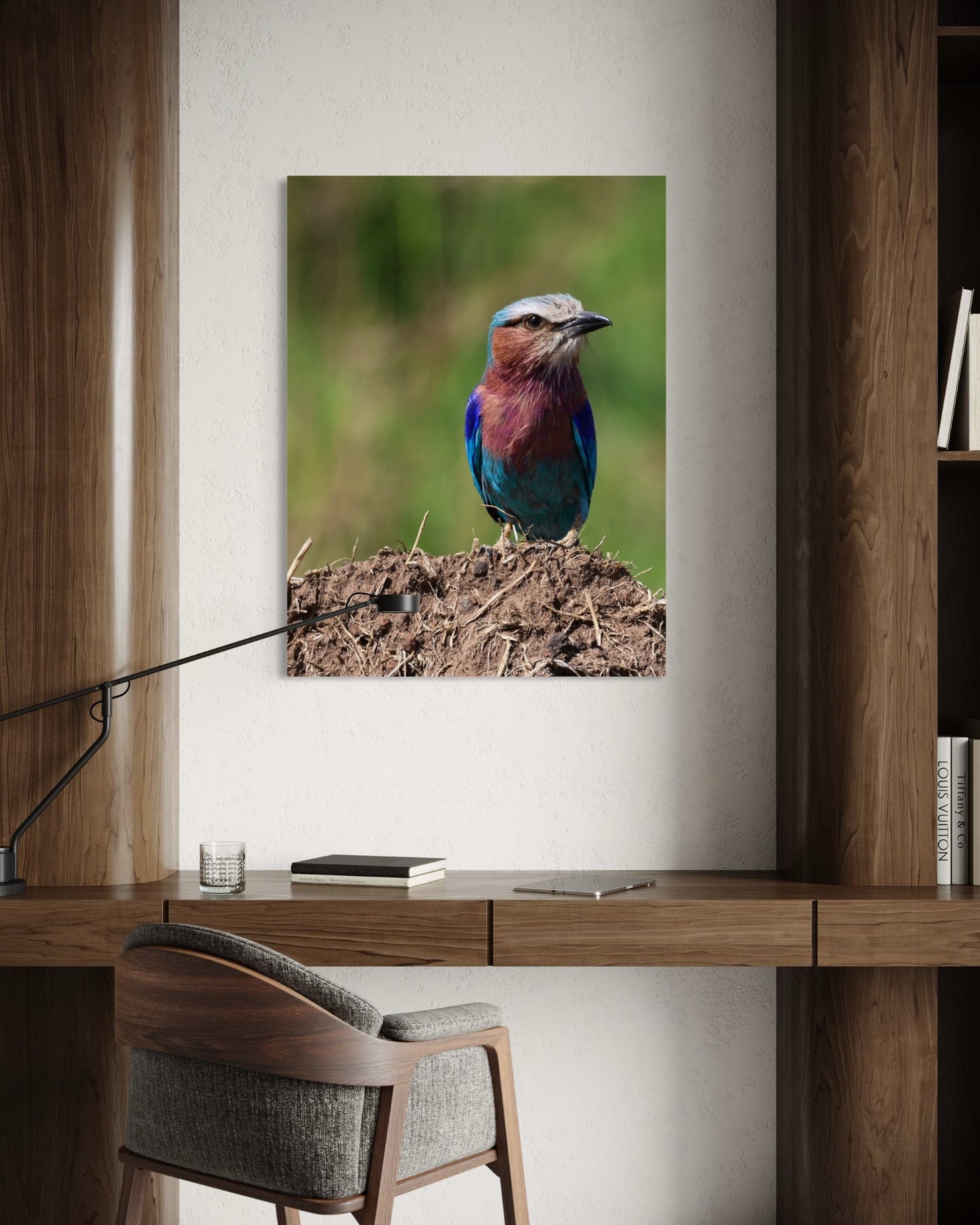 Lilac-breasted Roller
